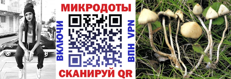 Галлюциногенные грибы Magic Shrooms  Красково 